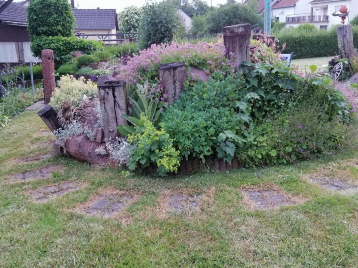 Ferienwohnung Am Steinchen Mettlach Exteriör bild